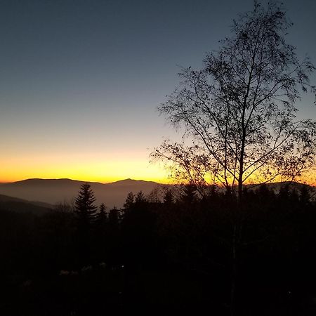Mountain Cabin Pcim Екстериор снимка
